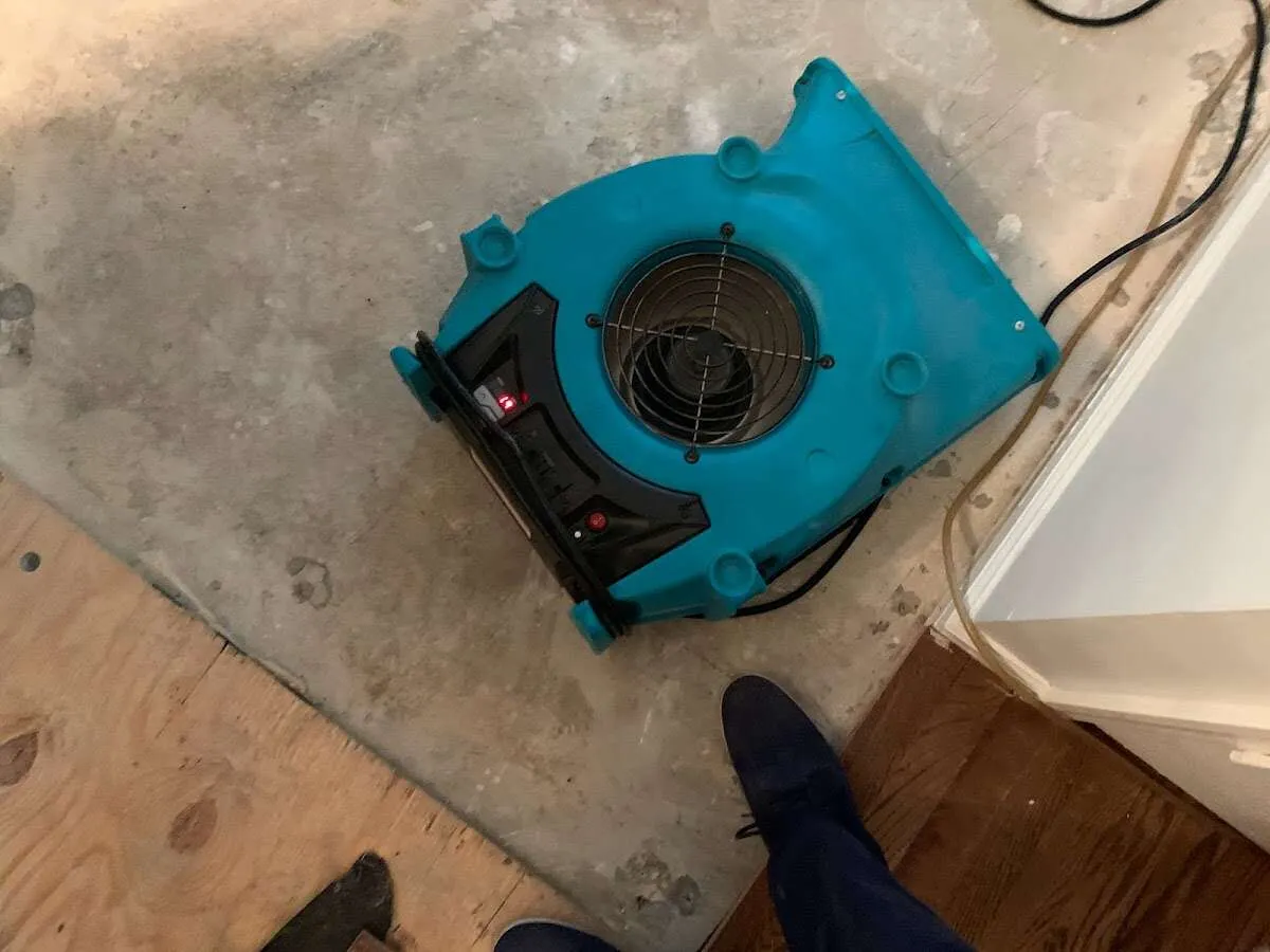 Air mover drying subfloor during Leak Detection & Repair in Alpine